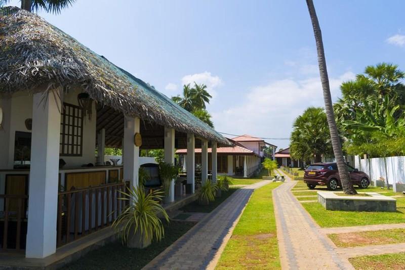 Фото Palm Resort Nilaveli 3*