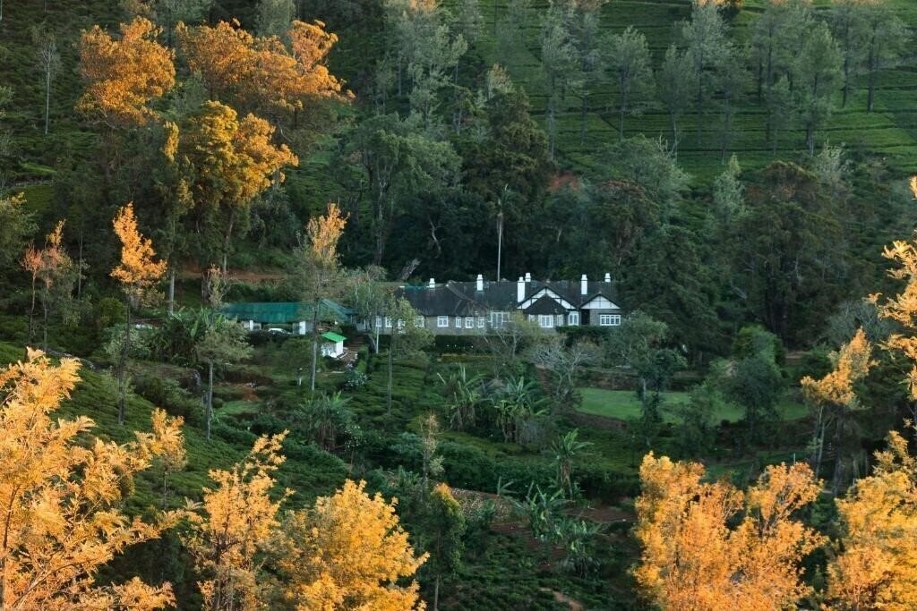 Фотографія Scottish Planter Glendevon Bungalow 3*