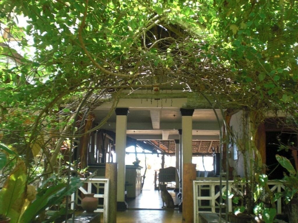 Фото Ibisbird Beach Bungalows 3*