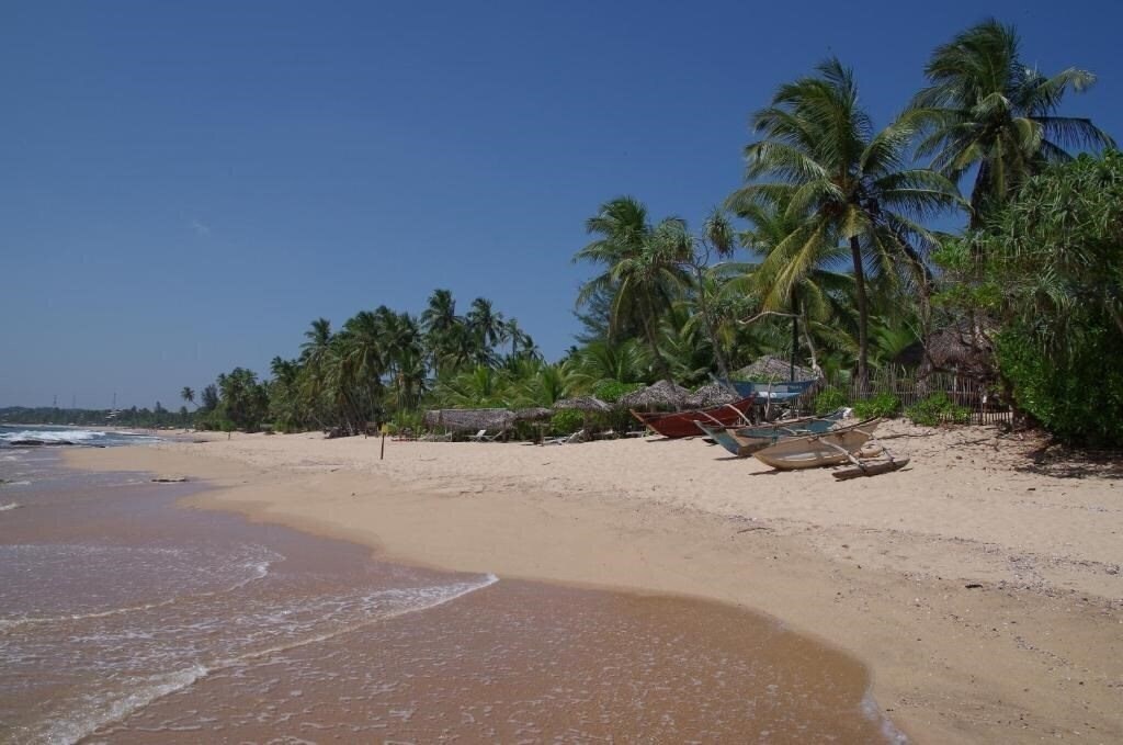 Изображение Ibisbird Beach Bungalows 3*