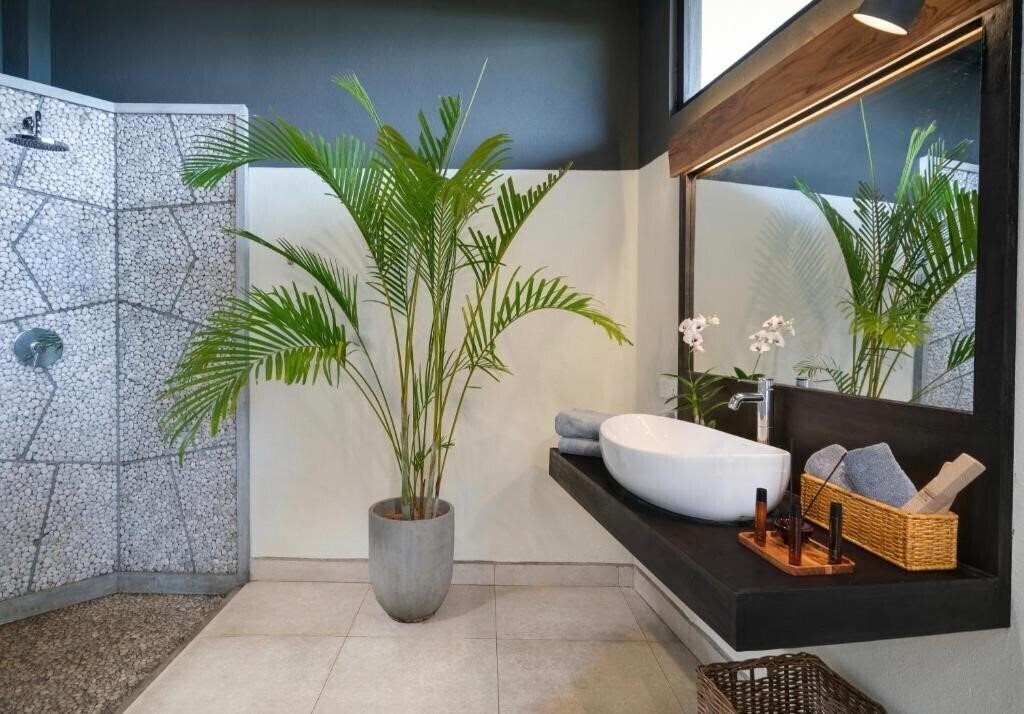 Картинка Lankavatara Ocean 4*