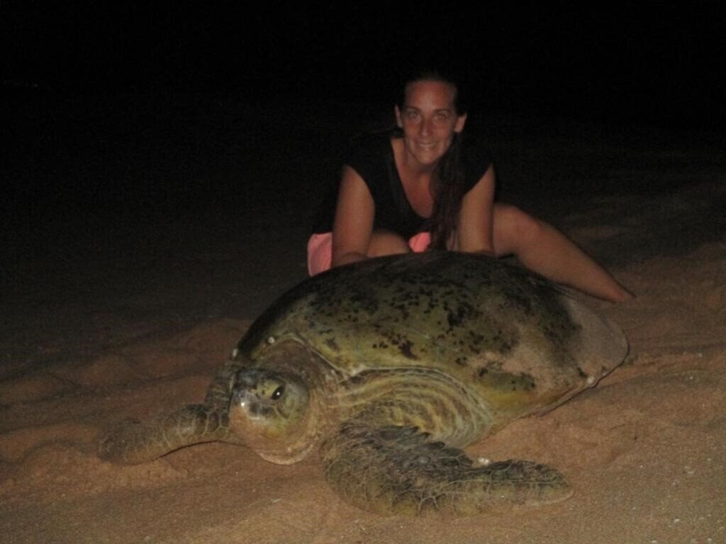 Готель All View Resort отель без категории