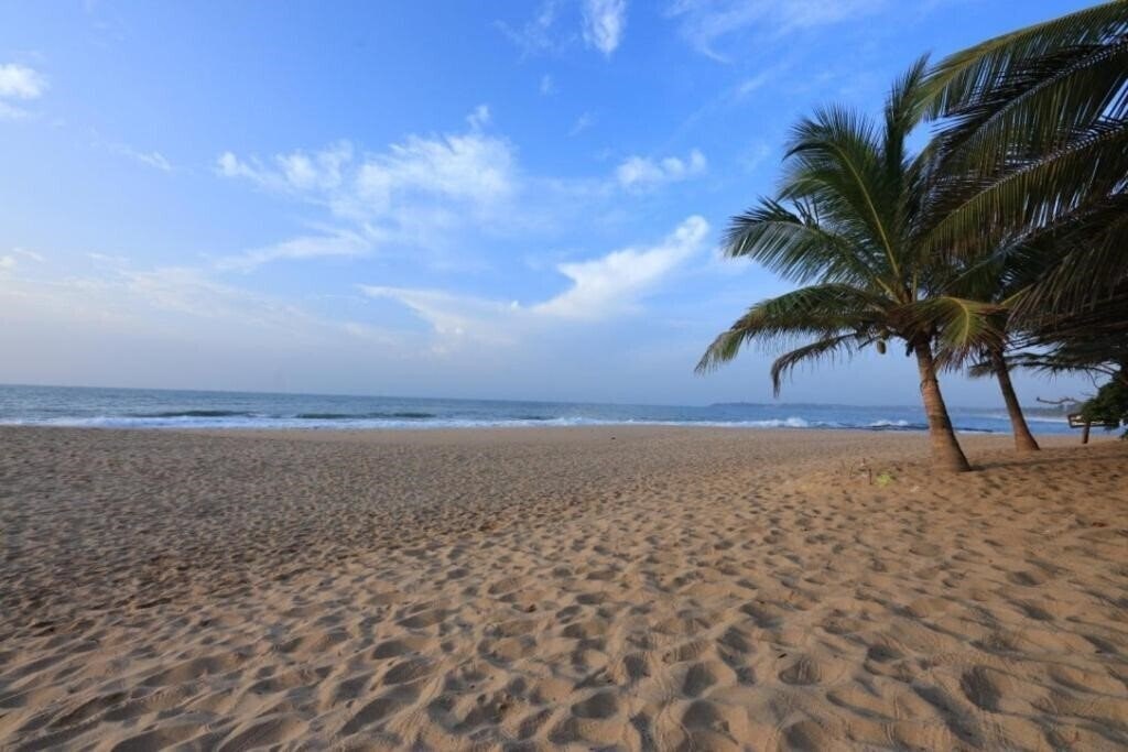 Отель Mangrove Beach Cabanas & Chalets 3*