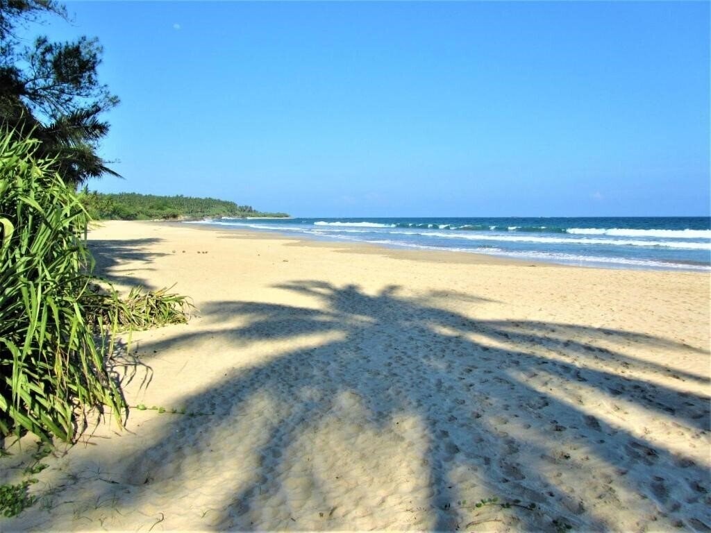 Отель Isana Beach House 3*