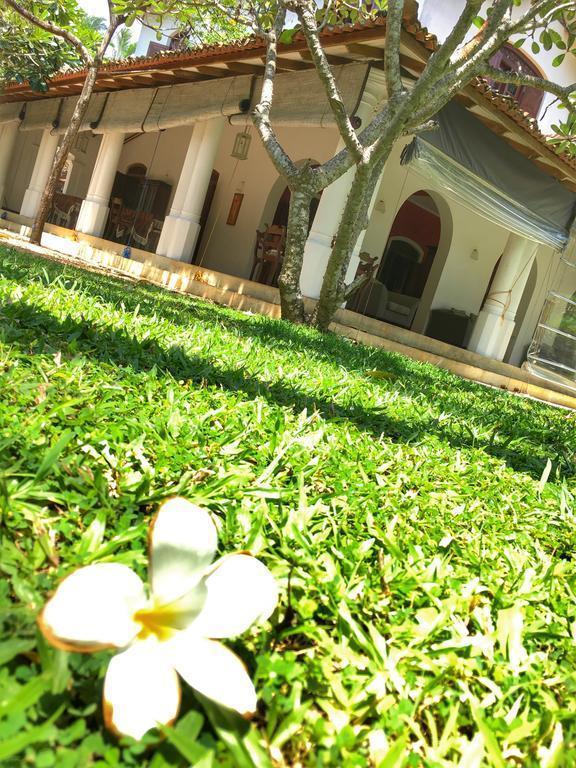 Фотография Amor Villa 3*