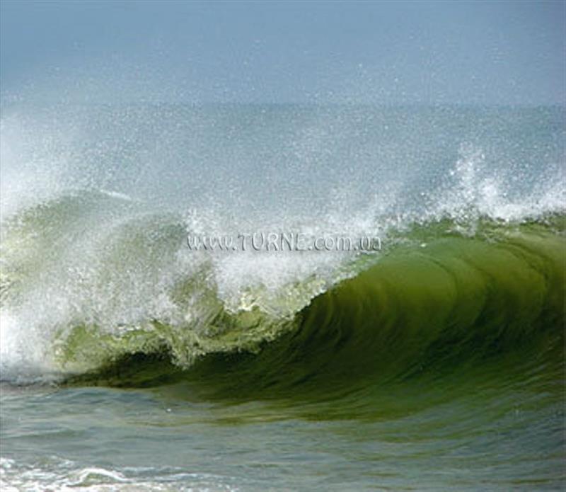 Зображення Star Light Hotel 3*