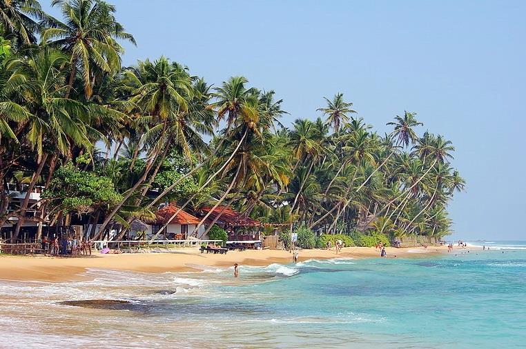 Фотографія Hotel J Unawatuna 3*