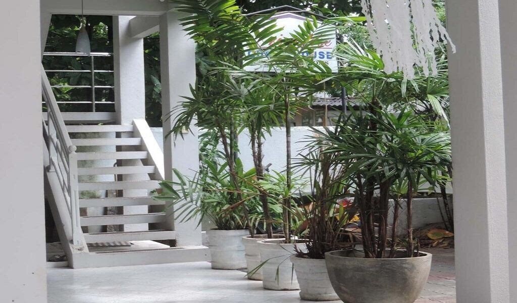 Фотографія Prim Rose Guest House 2*