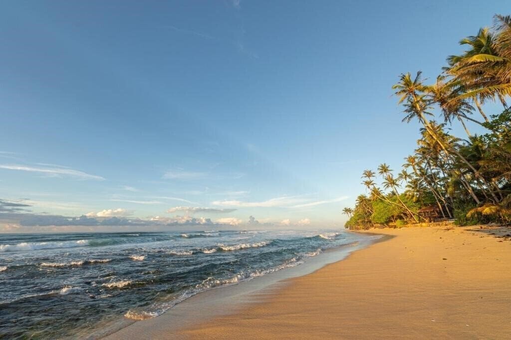 Фотографія The Beach Talpe 5*
