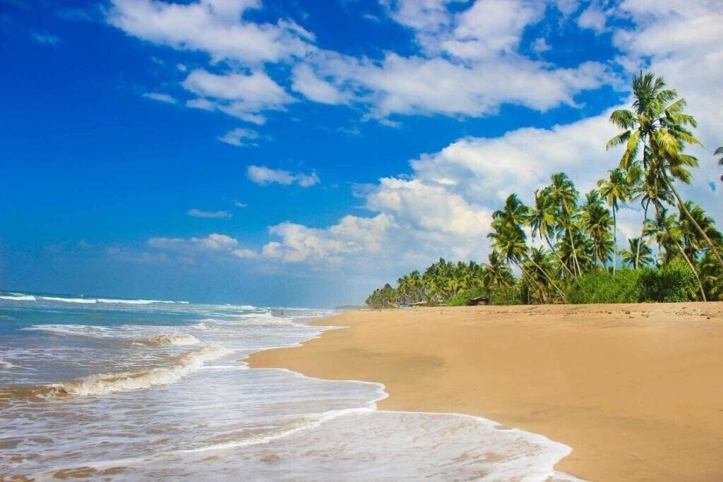 Картинка Oak Ray Haridra Beach Resort 4*