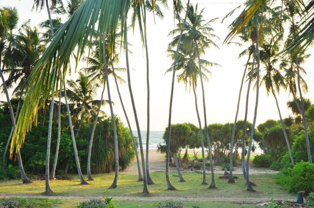 Фотография Villa Ocean View 3*