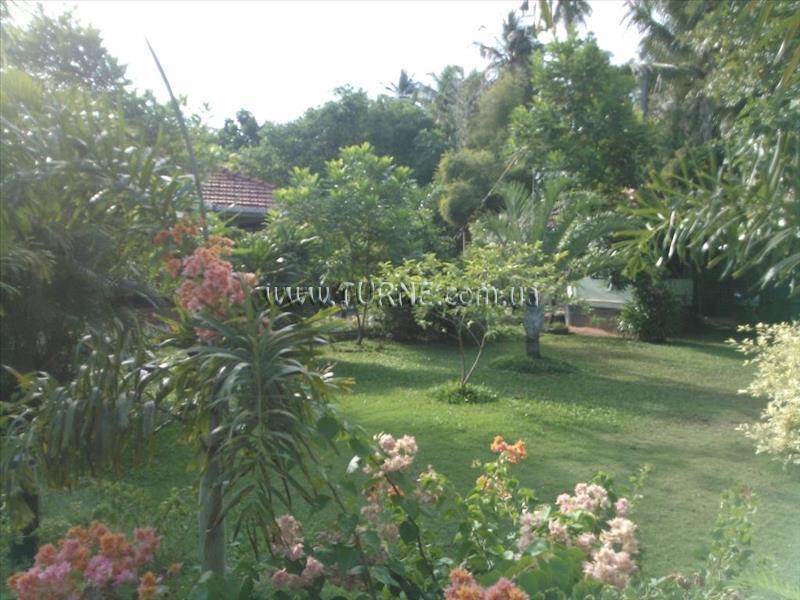 Картинка Kumudu Valley Resort 3*