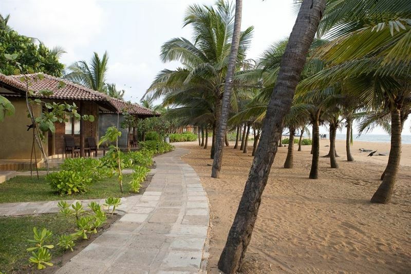 Зображення Club Hotel Dolphin (ex. 1981/2013) 4*