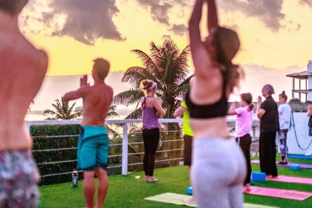 Фотография The Surfer отель без категории