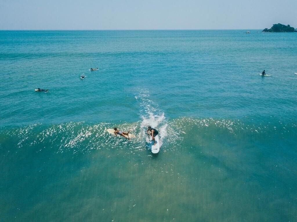 Изображение The Surfer отель без категории