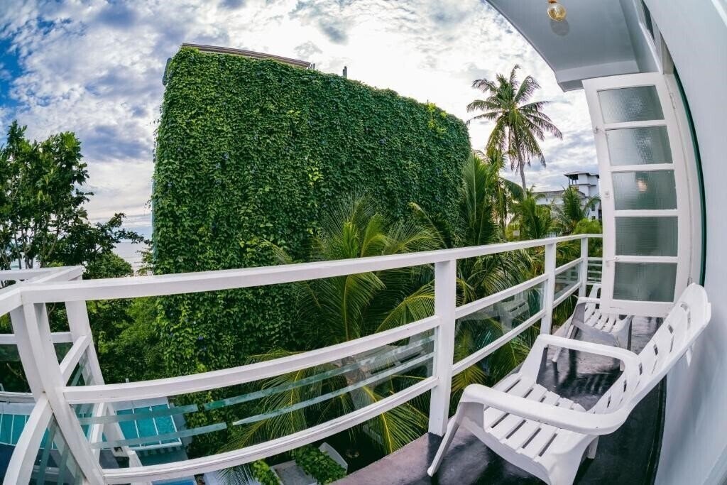 Картинка The Surfer отель без категории