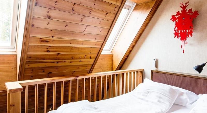 Картинка Hotel Fjallgarden Are 3*