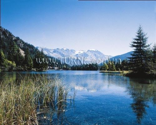 Отель Arosa лагерь