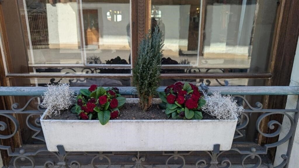 Фотография Harder-Minerva 3*