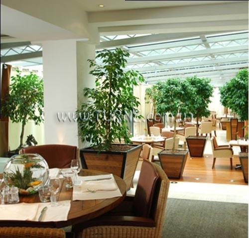 Зображення Epsom 4*