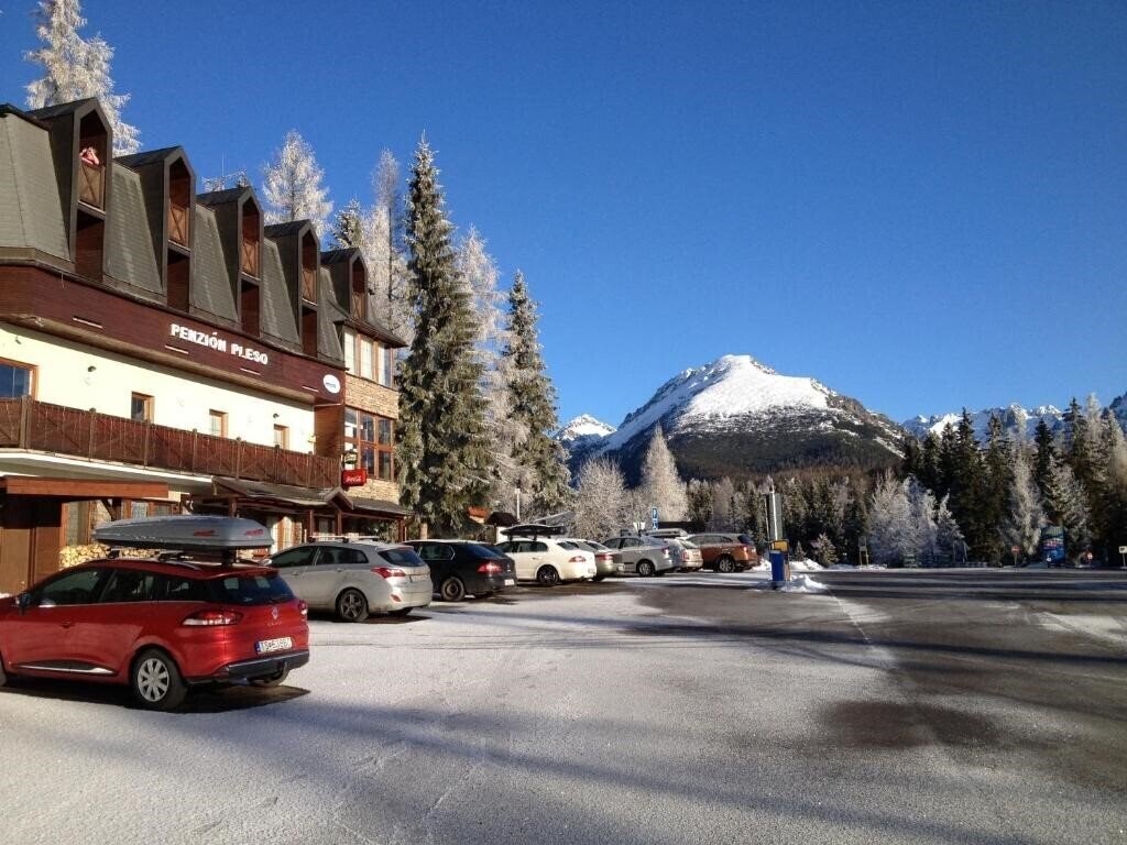 Отель Pleso 3*
