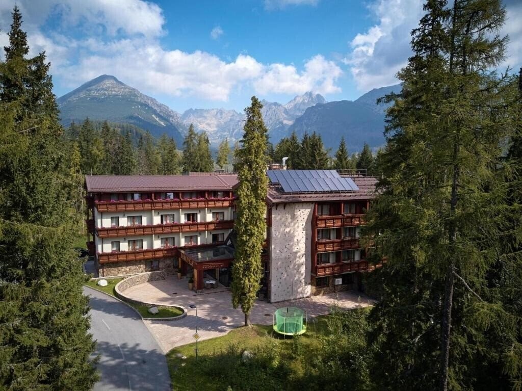 Картинка Wellness Hotel Borovica 4*