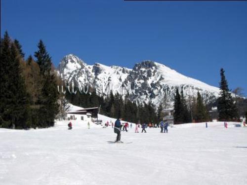 Фотографія Penzion Slavkovsky 2*