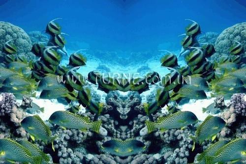 Картинка Park 2*