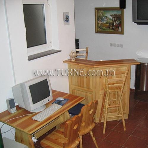 Картинка Vijolica 3*