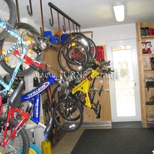 Изображение Vijolica 3*