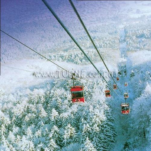 Готель Videc 3*