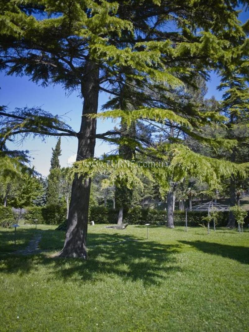 Фото Salinera Apartments 2*