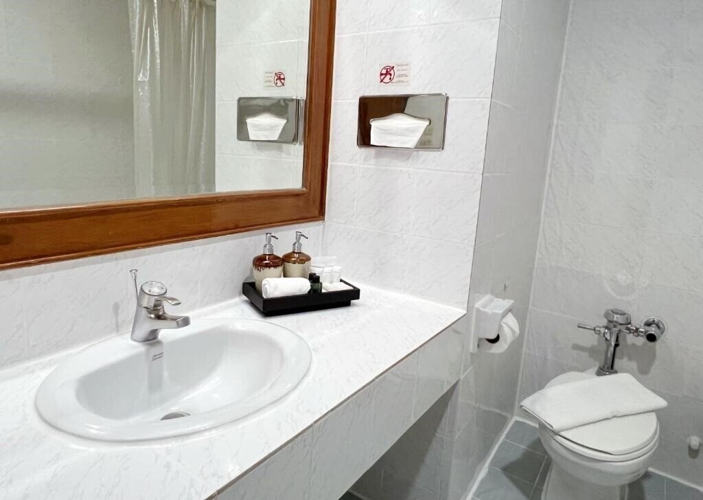 Картинка The Promenade Hotel 3*