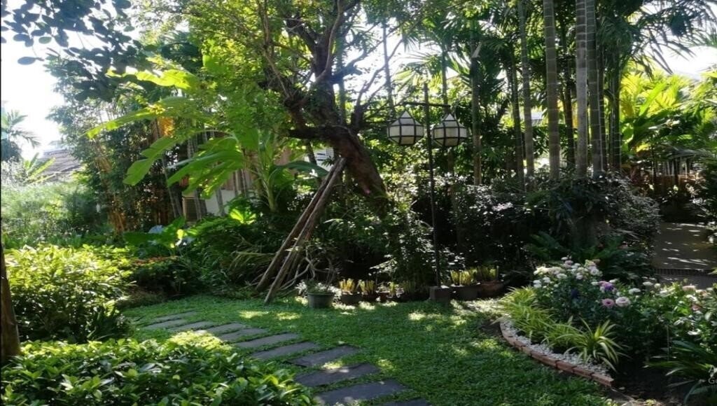 Картинка Viang Thapae Resort 3*