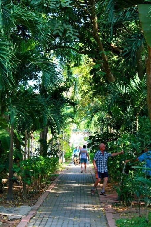 Изображение Pattaya Garden Resort 3*