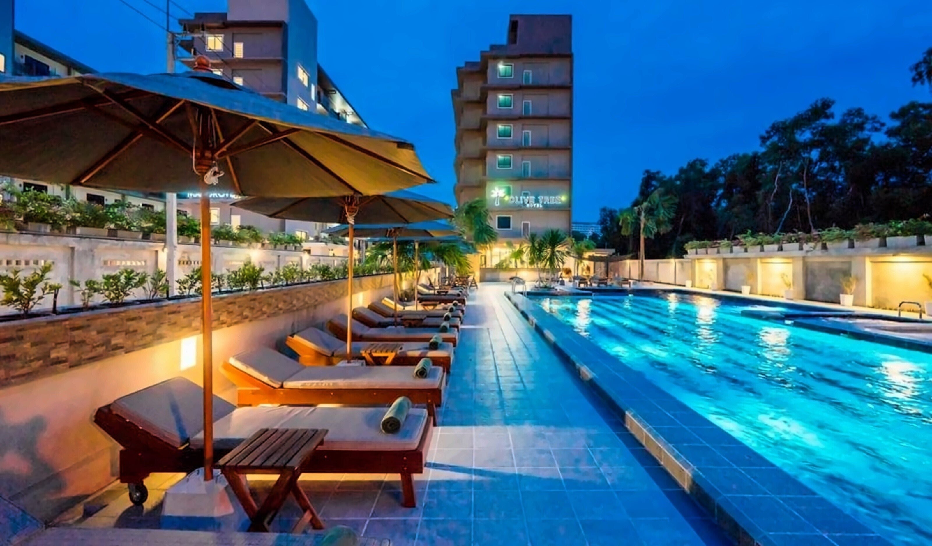 Фотографія Olive Tree Hotel 4*