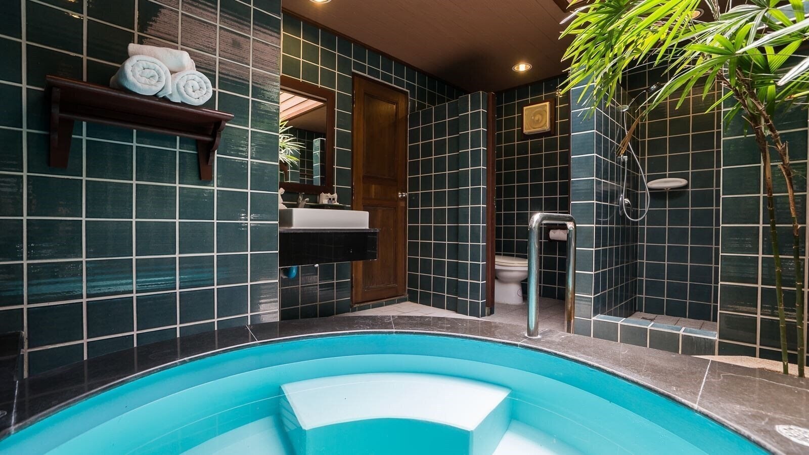 Зображення Plumeria Resort 3*