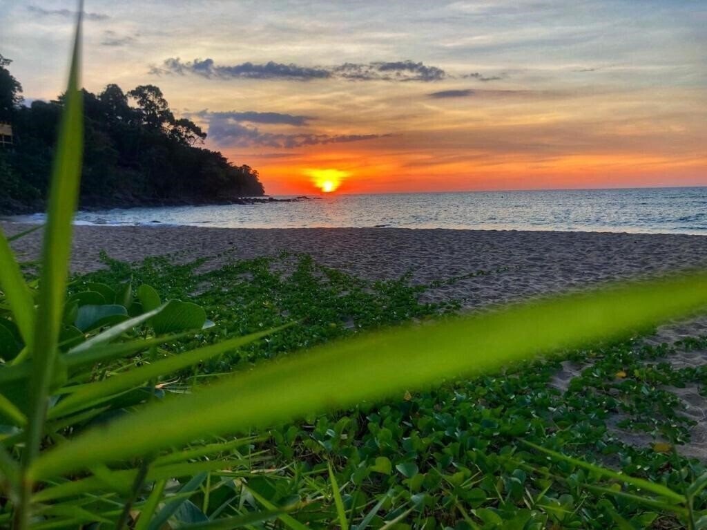 Изображение Khao Lak Palm Beach Resort 4*