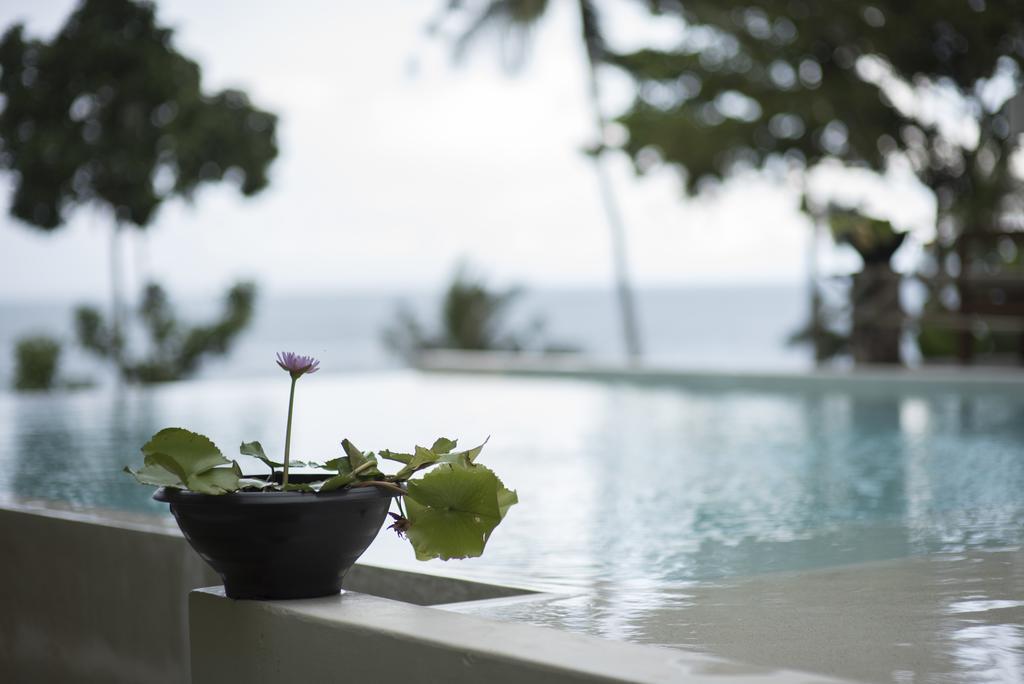 Фотографія Nest Sense Resort 3*