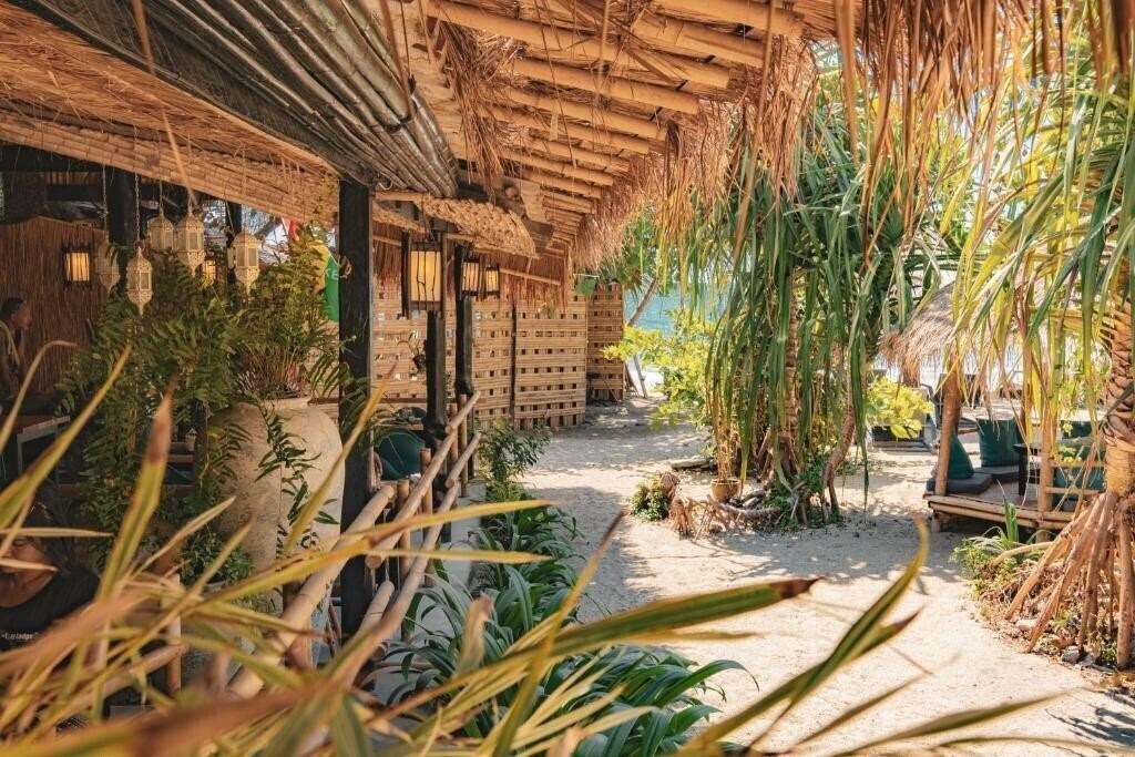 Фото The Lazy Lodge 3*