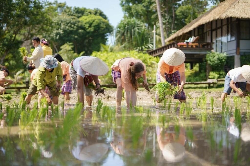 Картинка Koh Yao Yai Village 4*