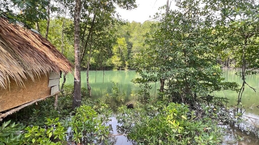 Фотографія At Thara Aonang 3*