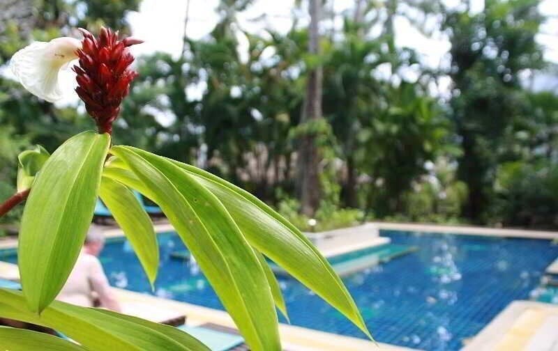 Готель Ao Nang Premier Resort (ex. Tropical Herbal Spa & Resort) 3*