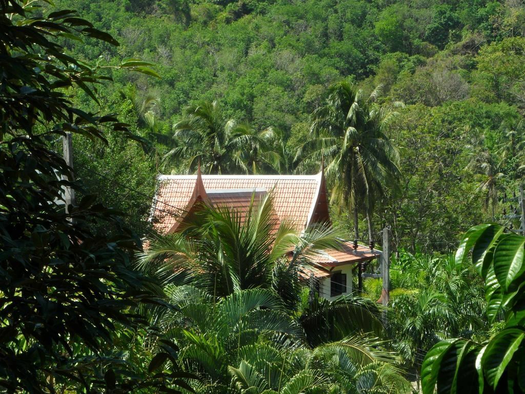 Картинка Inter House Kata 2*