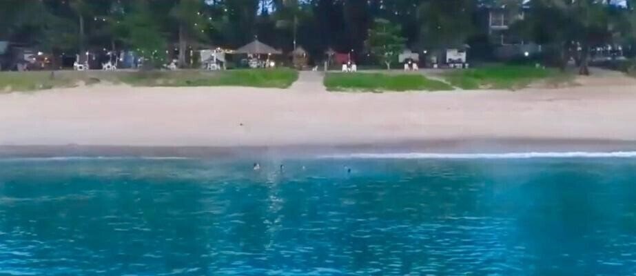 Зображення Micky Monkey Beach Hotel 3*