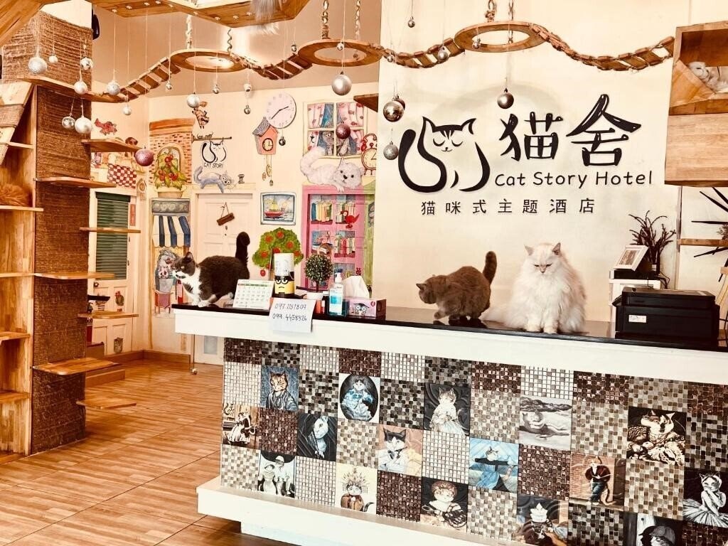 Готель Cat Story Hotel 3*
