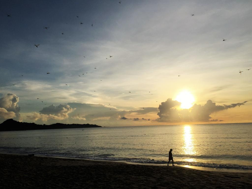 Зображення Lamai Coconut Beach Resort 3*