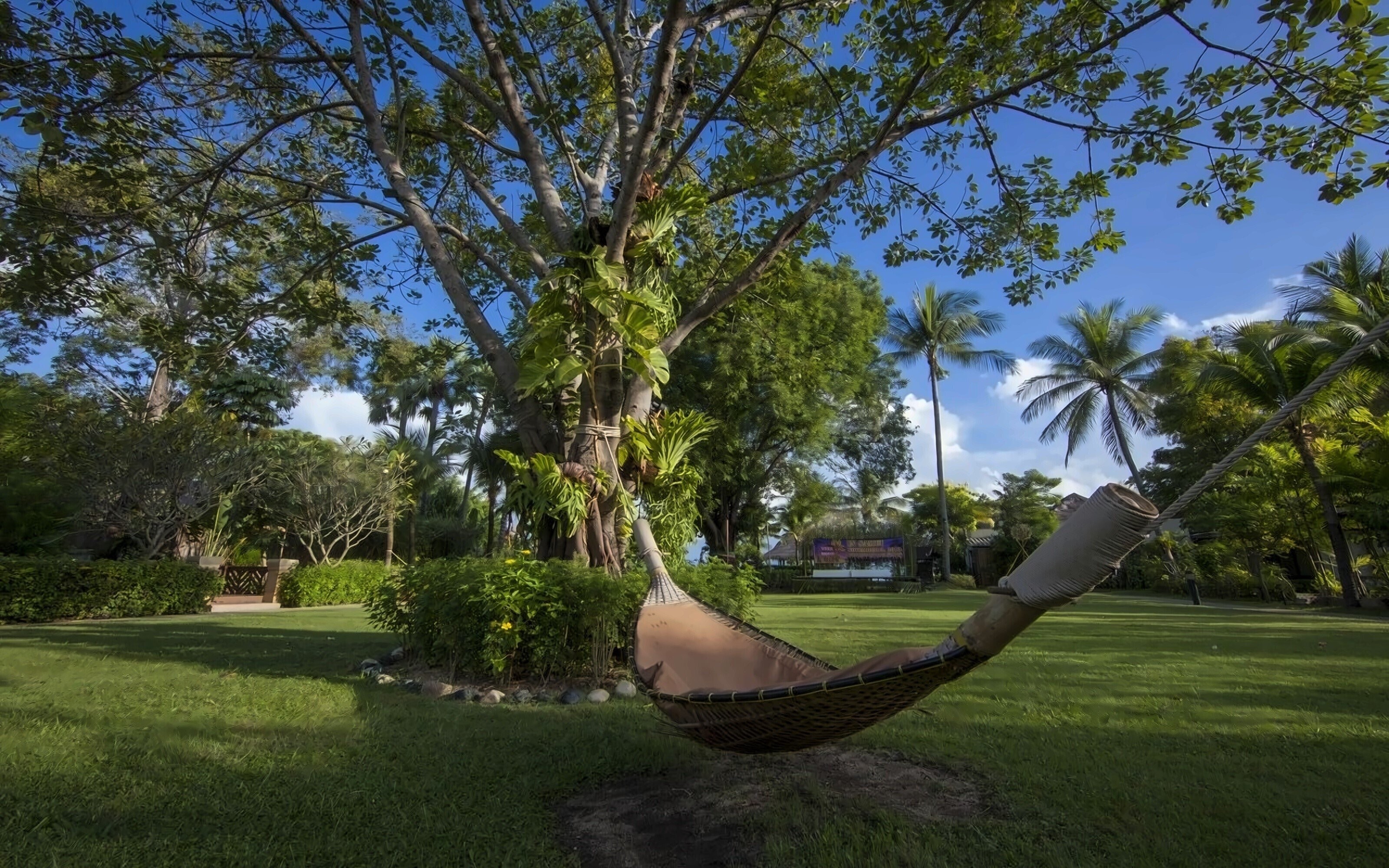 Зображення Bandara Resort & SPA 4*