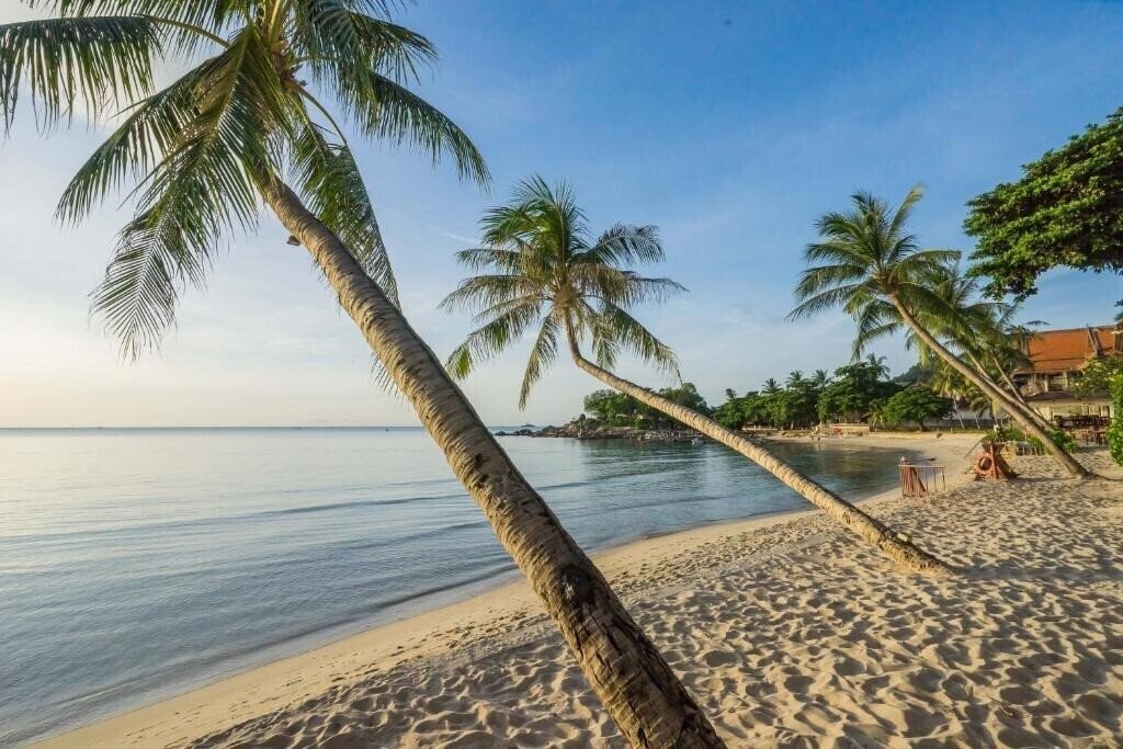Отель Samui Paradise Chaweng Beach Resort 4*