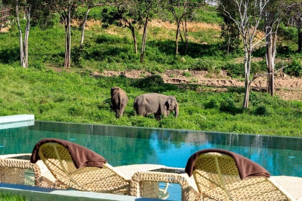 Отель Wild Cottages Elephant Sanctuary Resort 5*